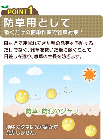 POINT1�@�h���p�Ƃ���