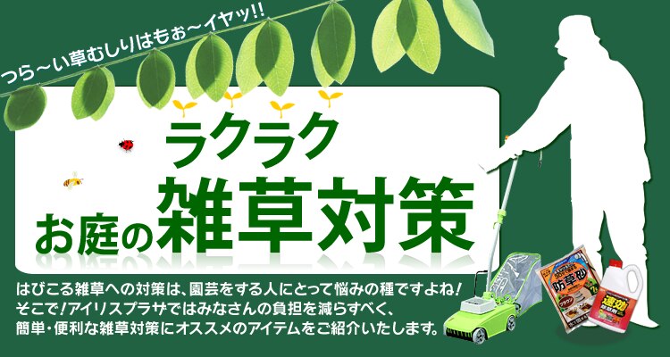 ���N���N����̎G���΍�