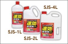 ���������܁y1L�E2L�E4L�z