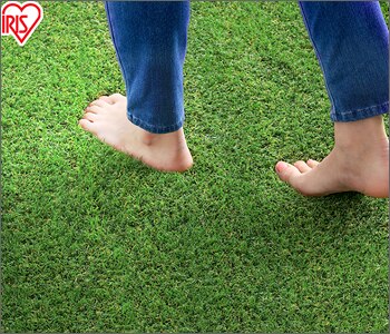 �h���l�H�� �ŏ�3cm  2m�~10m