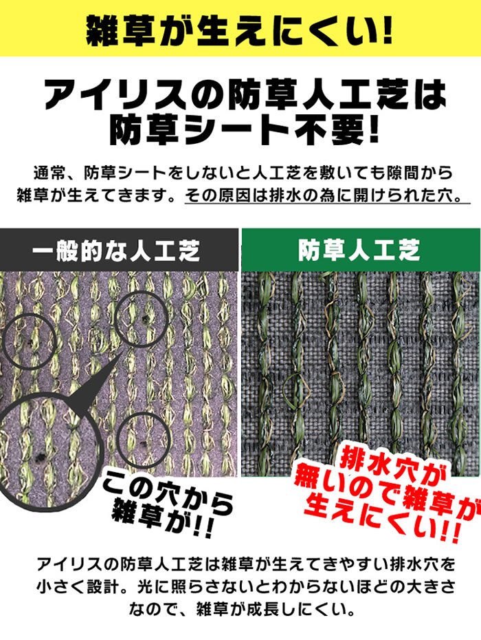 �G���������ɂ����I