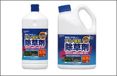 �ƒ�p�A�~�m�_�n�����܃X�g���[�g�y1L�E2L�z