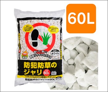 �h���E�h�Ƃ̃W�����@60L�@�z���C�g