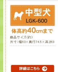 ���O���� LGK-600
