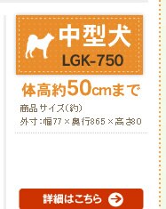 ���O���� LGK-750