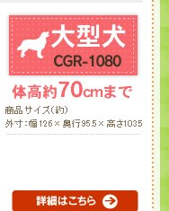 �R�e�[�W���� CGR-1080