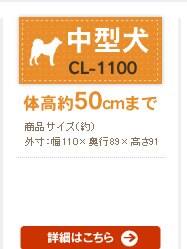 �T�[�N������ CL-1100