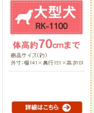 ���b�W���� RK-1100