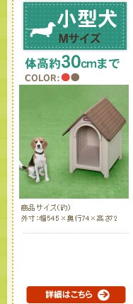 �{�u�n�E�X M�T�C�Y