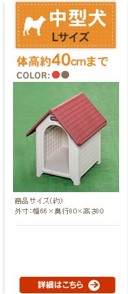 �{�u�n�E�X L�T�C�Y