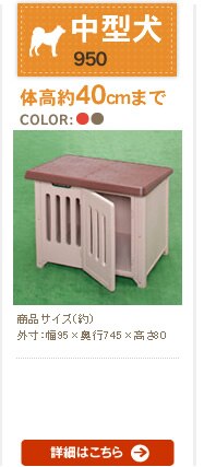 �{�u�n�E�X 950