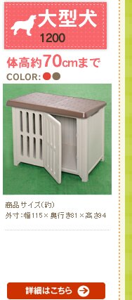 �{�u�n�E�X 1200