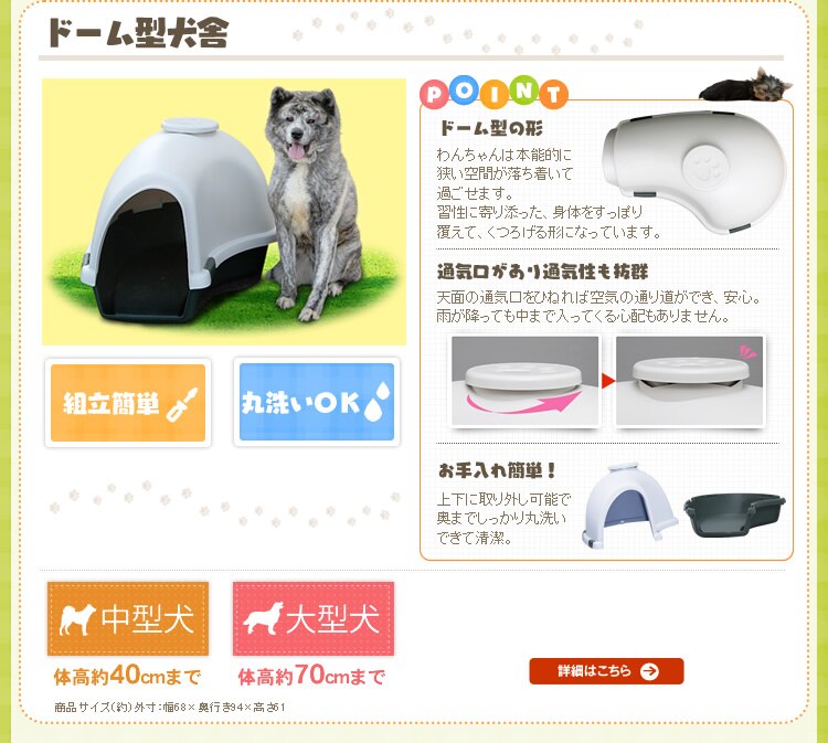 �h�[���^����