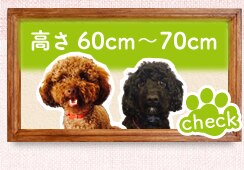 ����60cm�`70cm