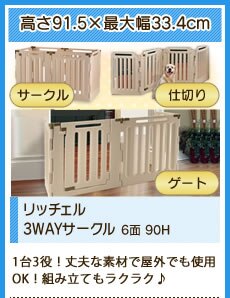 ���b�`�F��3WAY�T�[�N�� 6�� 90H