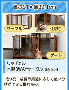 ���b�`�F���ؐ�3WAY�T�[�N�� 6�� 90H