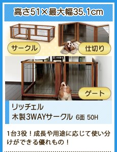 ���b�`�F���ؐ�3WAY�T�[�N�� 6�� 50H