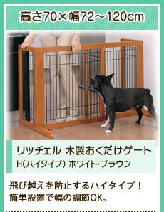 ���b�`�F�� �ؐ����������Q�[�gH�i�n�C�^�C�v�j �z���C�g�E�u���E��