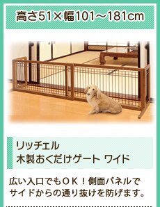 ���b�`�F���ؐ����������Q�[�g���C�h