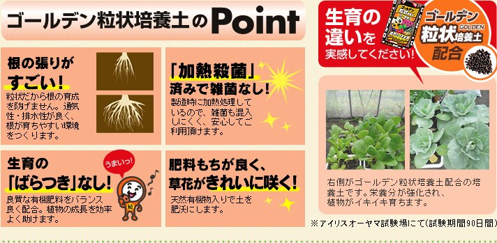 �S�[���f������|�{�y�@pint