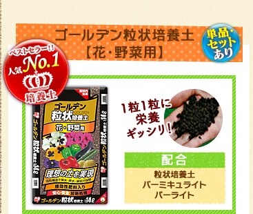 �S�[���f������|�{�y�y�ԁE��ؗp�z