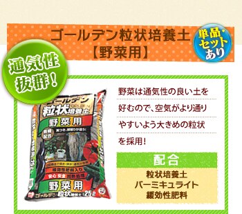 �S�[���f������|�{�y�y��ؗp�z