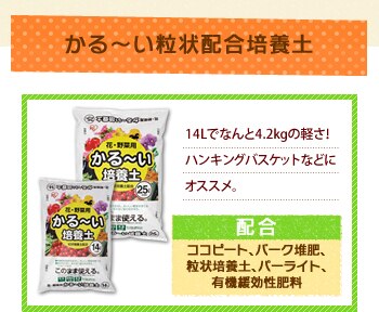 ����`������z���|�{�y