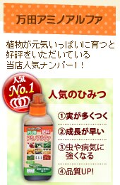 ���c�A�~�m�A���t�@