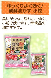 �������悭�����I�y�f�������@����