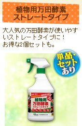 �A���p���c�y�f�X�g���[�g�^�C�v