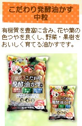 ���E�Ԓd�ɂ��ꂾ���h�{��