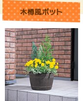 �ؒM���|�b�g