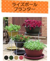 ���C�Y�{�[���v�����^�[