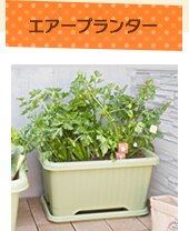 �G�A�[�v�����^�[