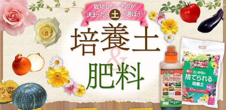 �S�[���f������|�{�y