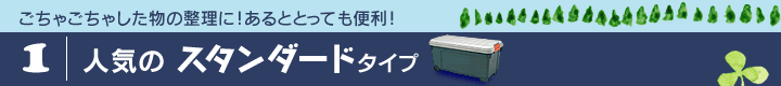 人気のスタンダードタイプ
