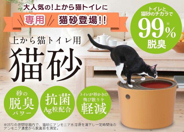 �ォ��L�g�C����p�L��