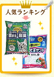 �l�C�����L���O