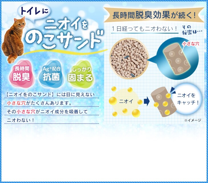 �g�C���Ƀj�I�C���̂��T���h