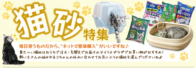 �L�����W