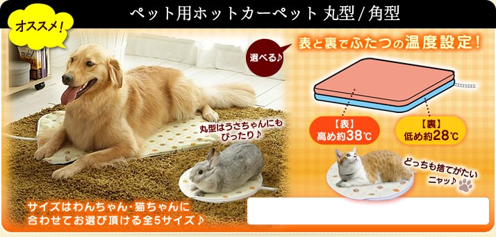 �y�b�g�p�z�b�g�J�[�y�b�g �ی^�E�p�^