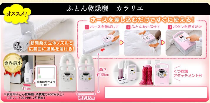 �ӂƂ񊣑��@ �J�����G