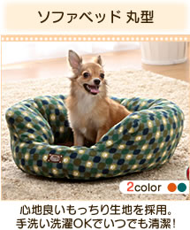 �\�t�@�x�b�h �ی^