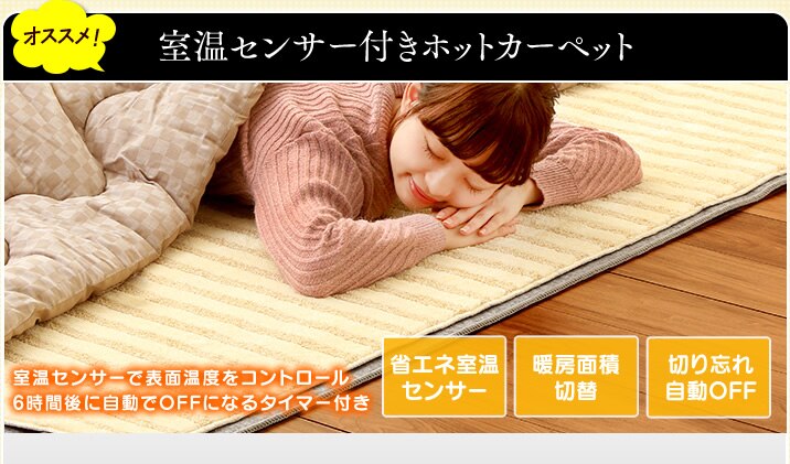 �����Z���T�[�t���z�b�g�J�[�y�b�g