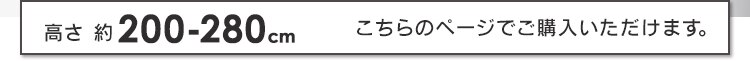 突っ張り棒 ポールハンガー 伸縮 SSP-280 ブラック16