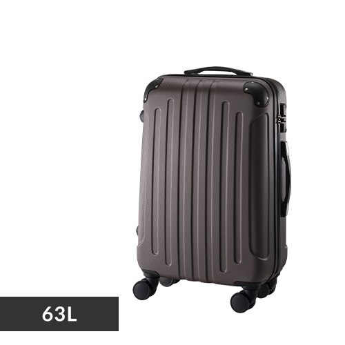 �X�[�c�P�[�X M�T�C�Y 63L  �_�u���L���X�^�[ KD-SCK �G���{�X�^�C�v �u���E�� 