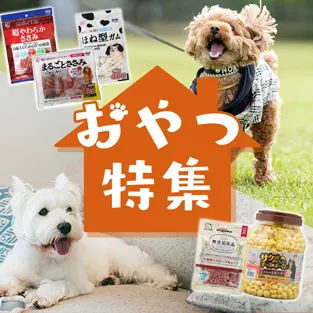 �y�b�g ������W