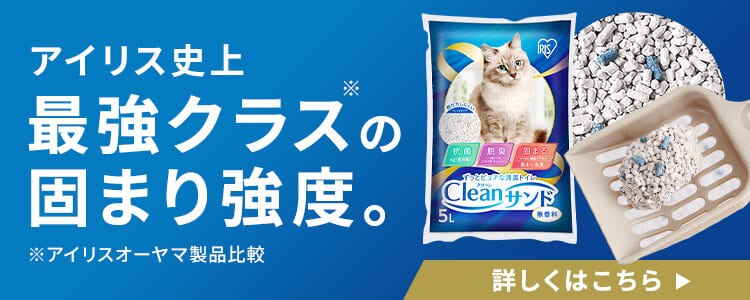 クリーンサンド