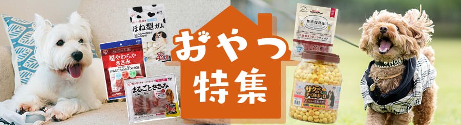 �y�b�g������W