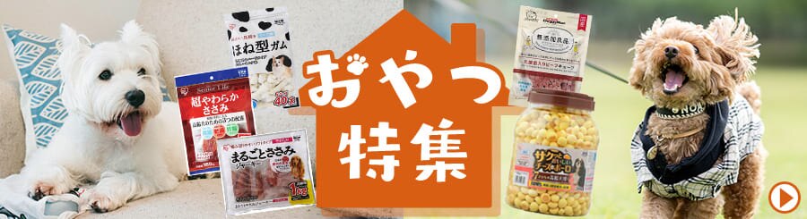 ペットおやつ特集